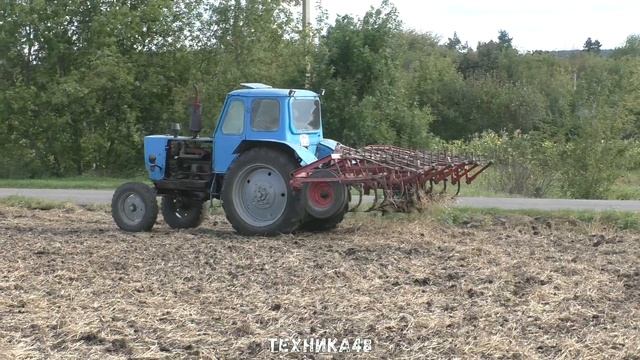 Бодрый старичок ЮМЗ-6 Беларусь в поле. Почти mini-till. Предпосевная обработка