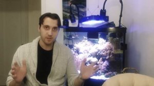 Обсуждаем свет в морском аквариуме. Лампы и светильники для рифа