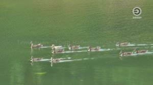 В Челнах продолжается преображение парка Прибрежный.
