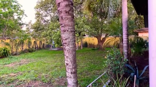 🔴 доброе утро 🔴 это ЛЮБОВЬ ответы на вопросы с утра пораньше 21.04.2020 смотреть онлайн