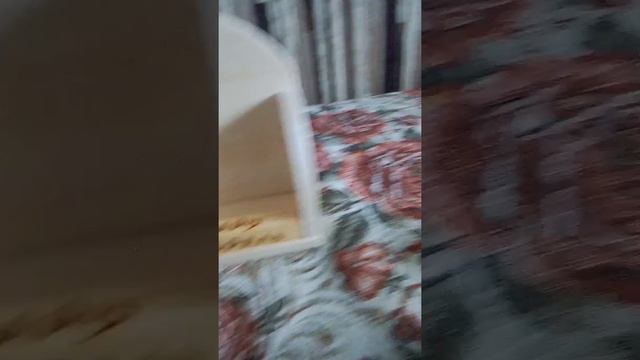 Вечный календарь. смотреть онлайн