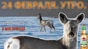 24 февраля. Утро.