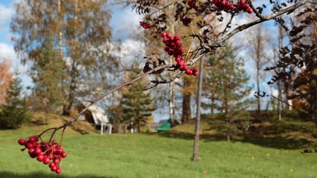 Ансамбль Хорошее настроение. Над рекой калина спелая. смотреть онлайн