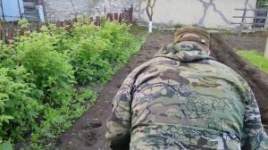 мотоблок агат посадка картофеля 2022