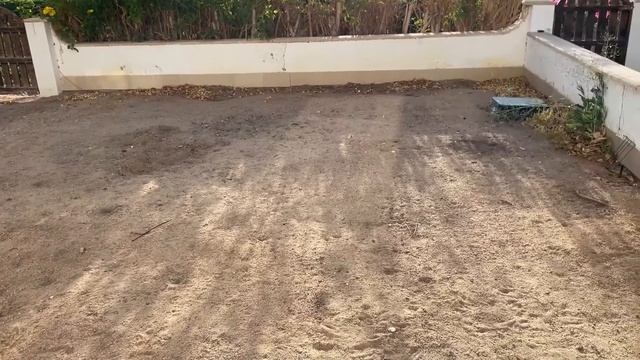 Почему я выбираю Умный фитнес? / Месяц без подсчета калорий, что с весом? смотреть онлайн