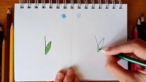 Обычные цветные карандаши и акварельные... В чём разница?
