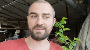 Мой птичий двор много дел 1 часть