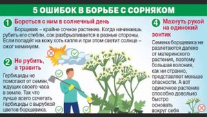 Новые методы борьбы с БОРЩЕВИКОМ!