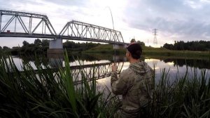 РЕЧНОЙ МОНСТР !  СОМ НА ДЖИГ С БЕРЕГА