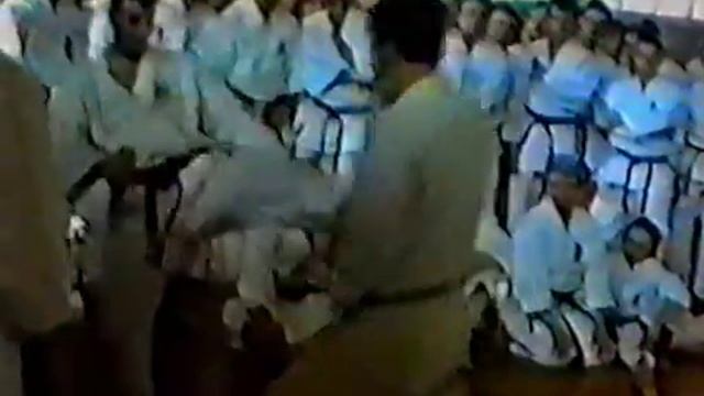 Семинар по Традиционному Каратэ в Польше - Ави Роках - 6 Дан смотреть онлайн