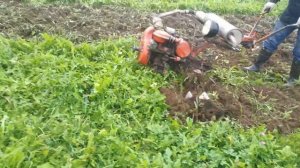 Мотоблок МТЗ 05 фрезы гусиные лапки.