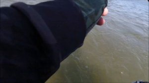 Можно ли поймать рыбу на городском пляже？