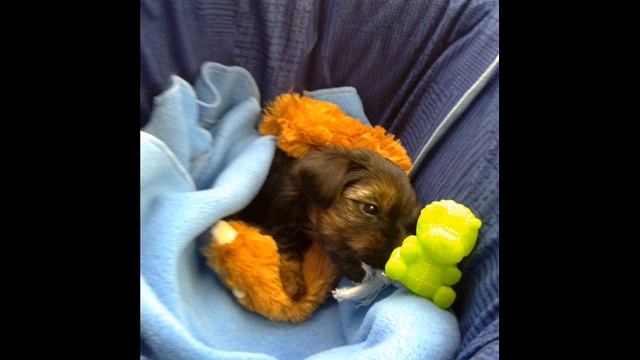 Życie piosenka prubna смотреть онлайн