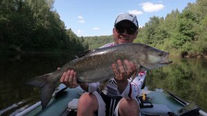 Трофейный жерех на удочку до 5гр! Graphiteleader Super Bellezza GLSBS-632XUL-T