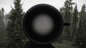 ДВЛ-10 в Escape From Tarkov