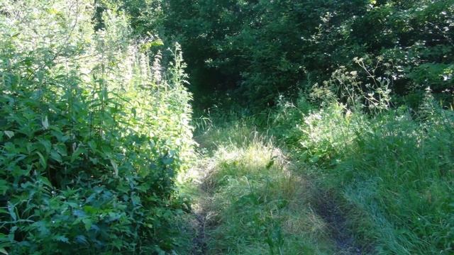 Если долго по дорожке ... смотреть онлайн