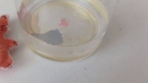 картон против? бумаги