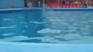 Девушка играет на саксофоне