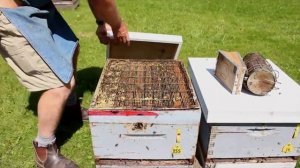 Базовый видеокурс пчеловодства Университета г.Гвелф для начинающих пчеловодов (Канада)