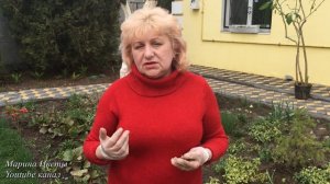 Высадка Ранункулюса в грунт. Секреты успеха