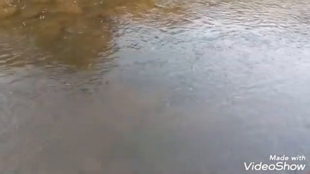 Работа вахтой остров Итуруп бухта осенняя ролик №106 смотреть онлайн