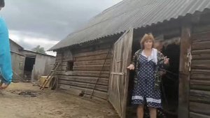 Случка коровы везём к быку