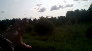 Коп в лесах западного фронта.