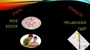 РКИ порядковые числительные учить учиться