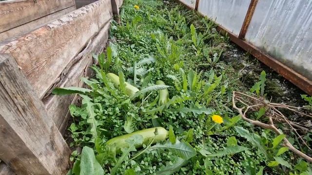 клип в подарок на юбилей маме от семьи смотреть онлайн