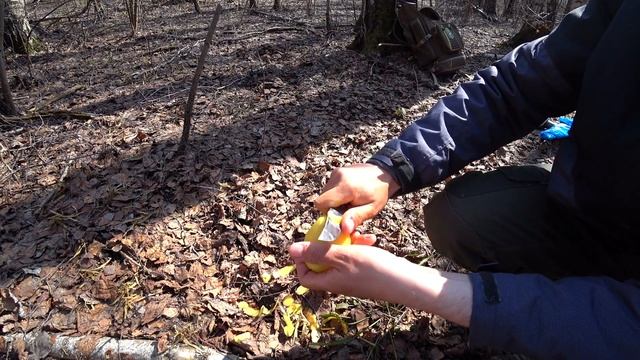 ОТКРЫТИЕ ГРИБНОГО СЕЗОНА 2021 - ПЕРВЫЕ ГРИБЫ НАЧИНАЮТСЯ! СУП ИЗ СТРОЧКА ГИГАНТСКОГО и ГРИБА-КОРАЛЛА смотреть онлайн