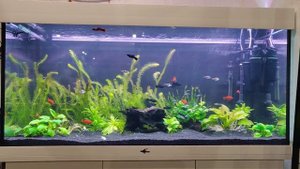 Новый аквариум Биодизайн Риф 350