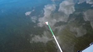 Рыбалка Лещ на кольцо Волга Победилово