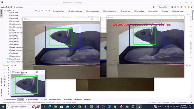 Opencv : Template Match  | Real Time | Filtering | Within Region