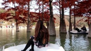 Кипарисовое озеро в Сукко и Большой Утриш - где находится, цены, как добраться на машине