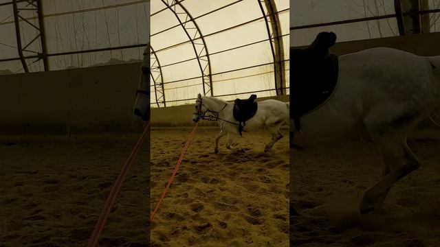 При работе на развязках включаем три аллюра