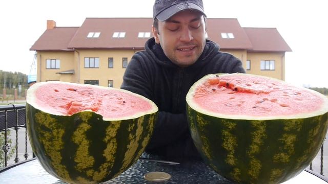 Арбузы : девочки арбузы против мальчиков арбузов....кто вкуснее? ) смотреть онлайн