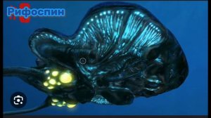 Все левиафаны из игры subnautica #левиафан #сабнатика