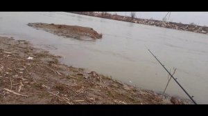 Рыбалка маринка.(Baliq ovi marinka). Балик ови маринка.