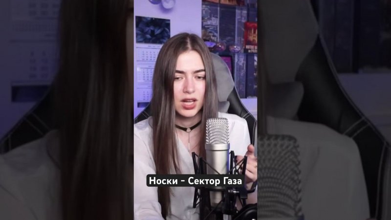 Носки - Сектор Газа