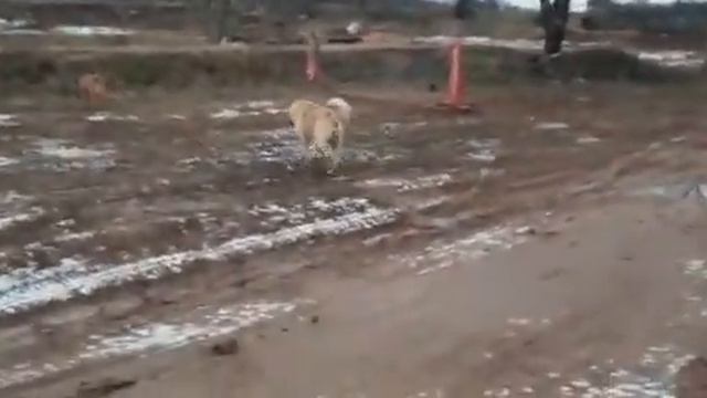 Межсезонье на кроссовой трассе смотреть онлайн