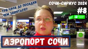 Сочинский аэропорт. Три часа до посадки в самолёт, путешествие домой после концерта. Сочи, 8 серия