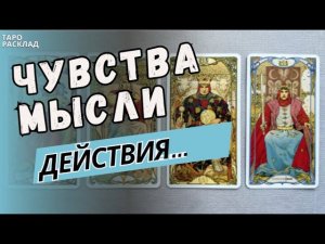 4 КОРОЛЯ‼️ ЧУВСТВА, МЫСЛИ, ДЕЙСТВИЯ‼️Таро расклад. Обучение Таро.