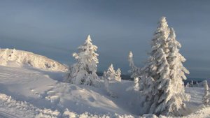 2024 01 Шерегеш Фрирайд с креста