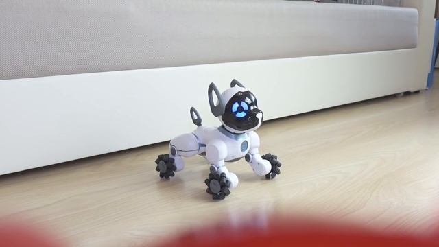 ШКОЛЬНАЯ СТРУЖИЛКА ДЛЯ ЖЕЛЕЙНОГО МЕДВЕДЯ ВАЛЕРЫ смотреть онлайн