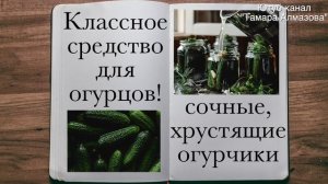 ВСЕГО ОДНА ЛОЖКА, а какой результат! Подкормка огурцов дрожжами