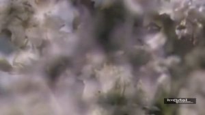 Маленький герой. Дети блокадного Ленинграда