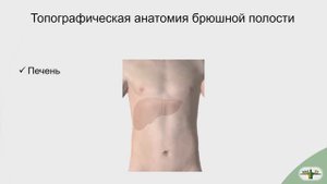Топография ПЕЧЕНИ