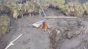 Республика Саха Якутия река Индигирка