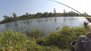 Рыбалка на фидер. Река Ока Калужская область, август 2020
