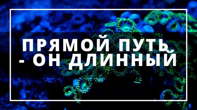 Прямой путь - он длинный ¦ Ринат Абу Мухаммад